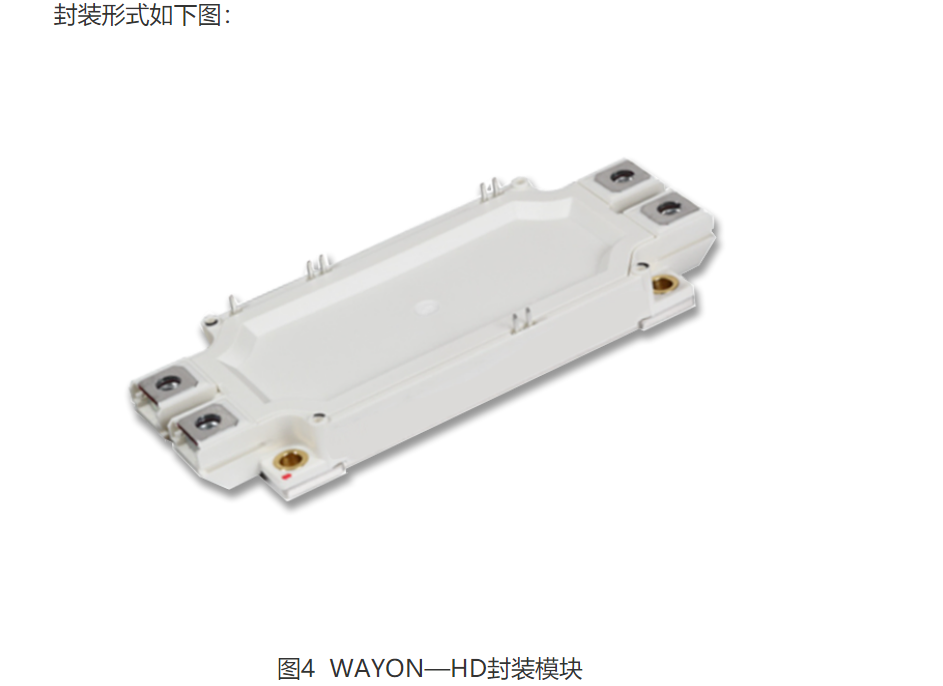 Wayon  IGBT,維安IGBT,新能源汽車IGBT，維安代理商，Wayon代理商